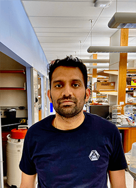 Gaurav Chaubey, MSc, PhD